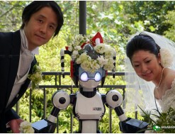 W Japonii lubu udzieli robot