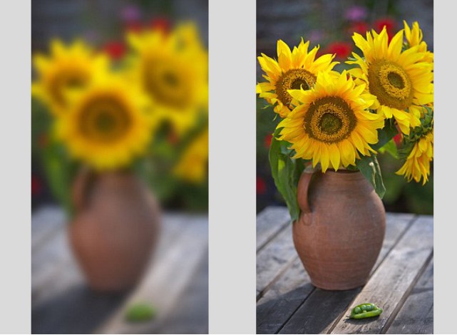 Adobe naprawi poruszone zdjcia w Photoshopie