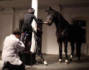 Wstrzykna sobie krew konia i nazywa to sztuk