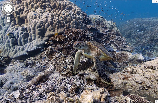 Zobacz podwodny wiat w Google Maps