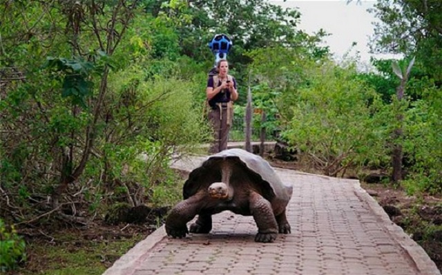 Google Street View odwiedzio wyspy Galapagos