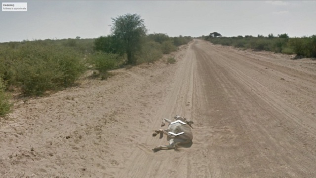 Osio nie ucierpia w czasie tworzenia Street View