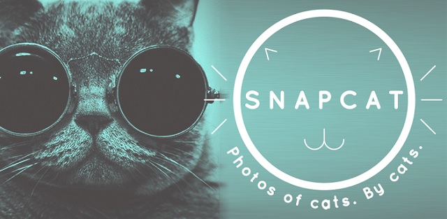 Snapcat aplikacja dla kotw robica zdjcia pupilowi