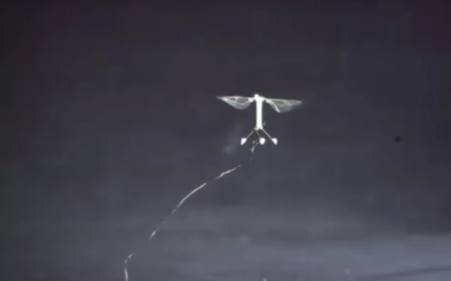 Powsta robot pszczoa Robobee