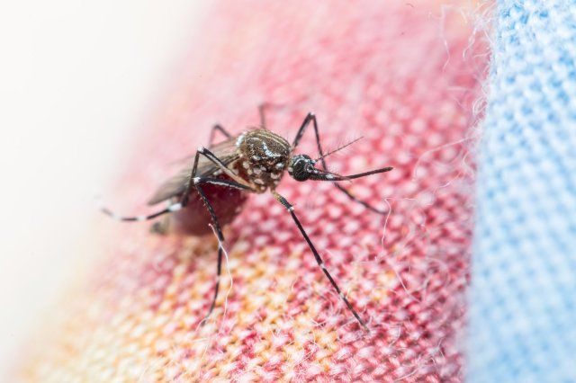 Drony pomagaj zwalcza malari w Tanzanii