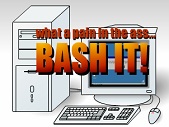 Bash the Computer 